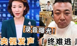 唐山打人录音爆料视频,现场惊心动魄，细节令人震惊