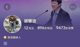 胡锡进爆料的视频,视频内容深度解析