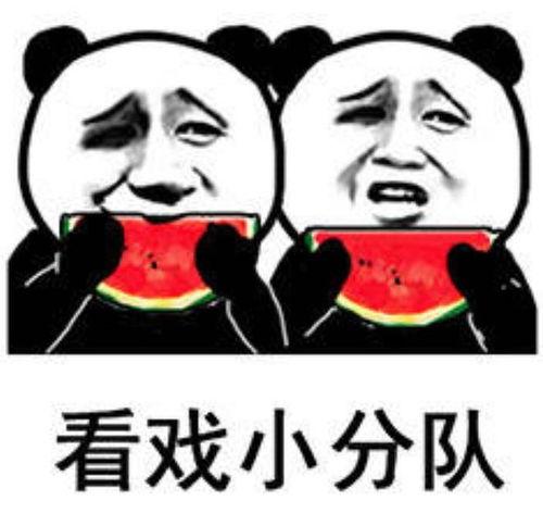 娱乐吃瓜酱的表情包